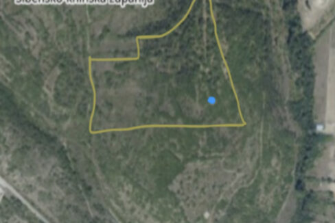 Haus, Sechs Hektar Land Drniš