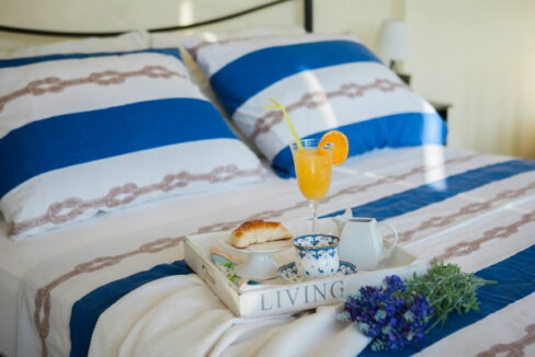 Tropisch anmutende Villa in der Nähe des Nationalparks Krka