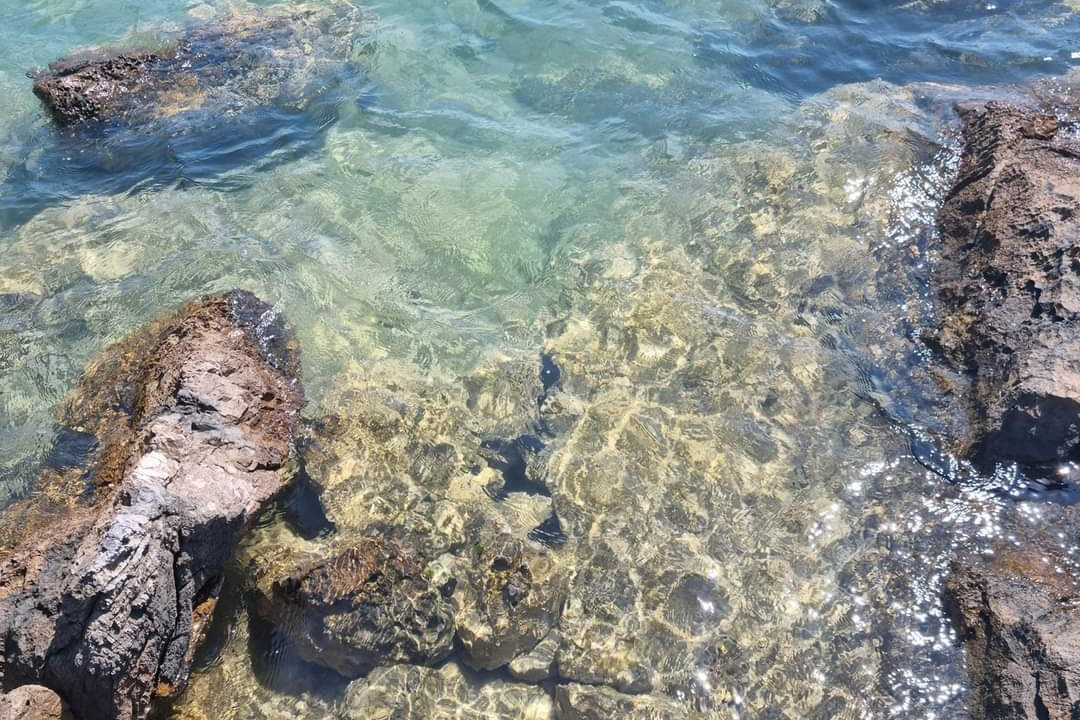 Insel zu verkaufen, Region Dubrovnik