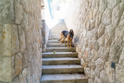 Großzügiges Anwesen mit einem Tennisplatz und einem Haus - Zaton, Dubrovnik Gebiet