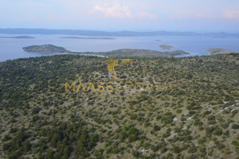 Plot- View N from S.jpg